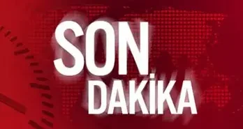 OIP